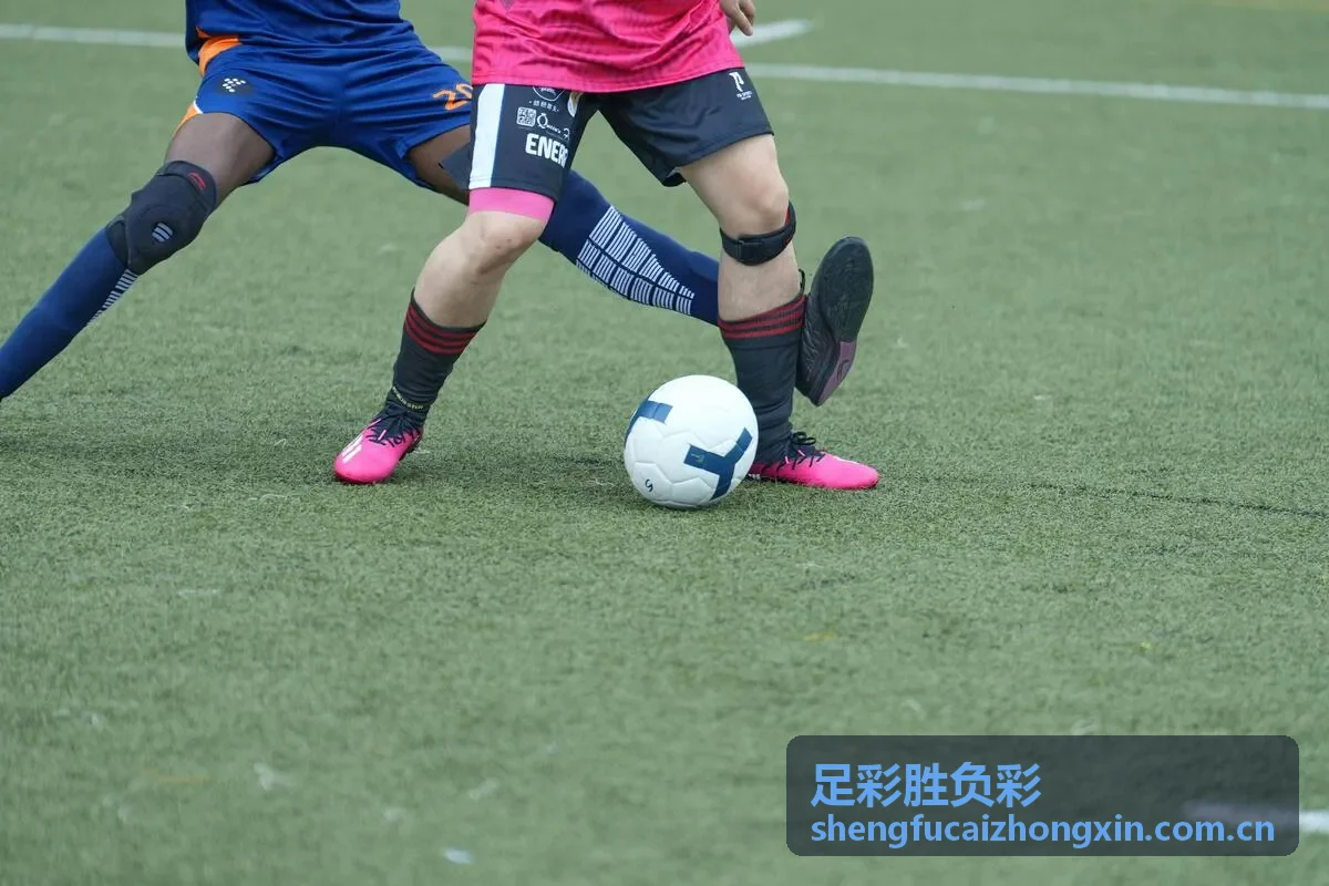 足彩胜负彩AI预测模型数据可视化展示